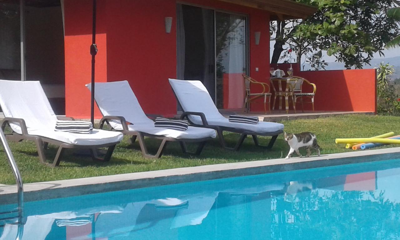 Bed and Breakfast El Nido Rojo Самара Экстерьер фото